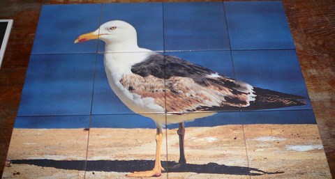 ceramique - photo mouette