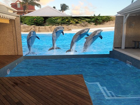 projet avec visuel choisi