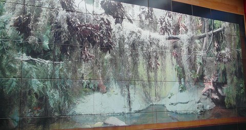 réalisation avec un pour cent (1%) artistique - mur de college